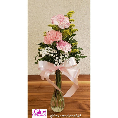 With Sympathy Carnations in a Budvase - Gift Expressions   